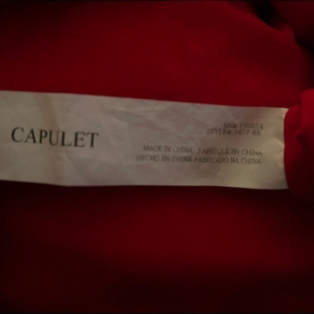 Capulet Rosa Skirt In Red Small (Revolve) - Picture 3 of 4